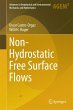 Non-Hydrostatic Free Surface Flows - Bild 1