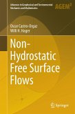 Non-Hydrostatic Free Surface Flows