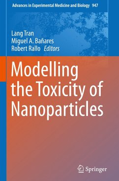 Modelling the Toxicity of Nanoparticles