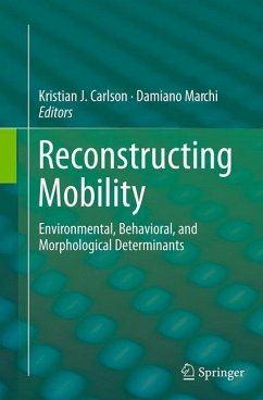 Reconstructing Mobility