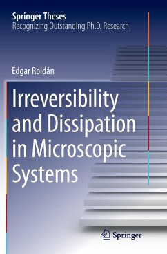 Irreversibility and Dissipation in Microscopic Systems - Roldán, Édgar