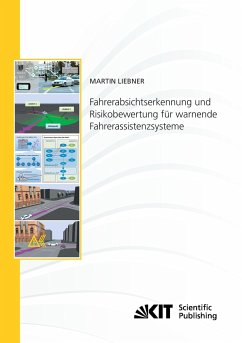 Fahrerabsichtserkennung und Risikobewertung für warnende Fahrerassistenzsysteme - Liebner, Martin