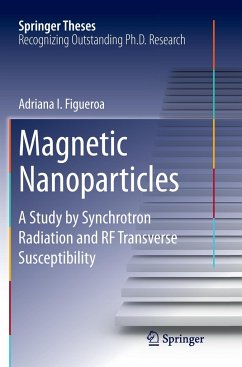 Magnetic Nanoparticles - Figueroa, Adriana I.