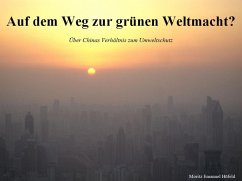 Auf dem Weg zur grünen Weltmacht? (eBook, ePUB) - Höfeld, Moritz