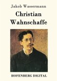 Christian Wahnschaffe (eBook, ePUB)