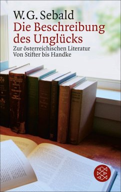 Die Beschreibung des Unglücks (eBook, ePUB) - Sebald, W.G.