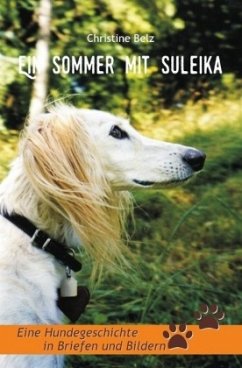 Ein Sommer mit Suleika - Belz, Christine
