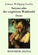 Satyros oder der vergötterte... - Bild 1