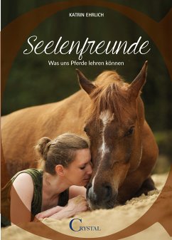 Seelenfreunde (eBook, ePUB) - Ehrlich, Katrin