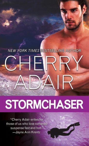Stormchaser (eBook, ePUB)