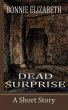 Dead Surprise (eBook, ePUB) - Bild 1