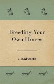 Breeding Your Own Horses