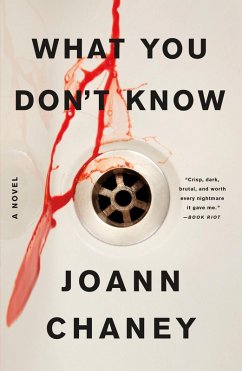 What You Don't Know (eBook, ePUB) - Chaney, Joann