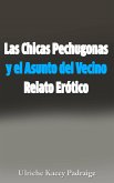 Las Chicas Pechugonas Y El Asunto Del Vecino: Relato Erótico (eBook, ePUB)