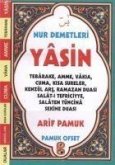 Nur Demetleri Yasin