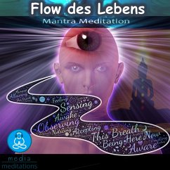 Flow des Lebens (MP3-Download) - Tuerk, Cristian