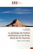 La géologie de l'indice minéralisé en Sn-W du Nord de l'In Tounine