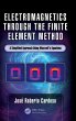 Electromagnetics through the Finite... - Bild 1