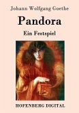 Pandora (eBook, ePUB)