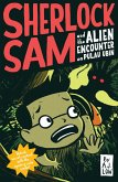 Sherlock Sam and the Alien Encounter on Pulau Ubin (eBook, ePUB)