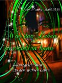 Was das Leben so erzählen kann (eBook, ePUB)