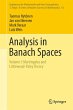 Analysis in Banach Spaces - Bild 1