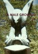 A MALE GROWING UP - Bild 1