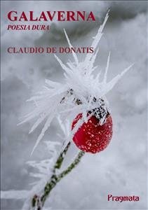 Galaverna (eBook, ePUB) - de Donatis, Claudio