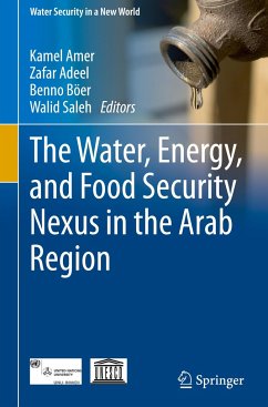 The Water, Energy, and Food Security Nexus in the Arab Region