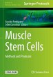 Muscle Stem Cells - Bild 1