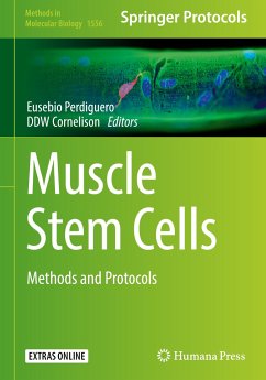 Muscle Stem Cells