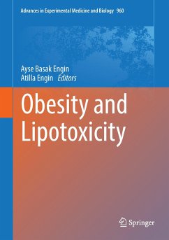 Obesity And Lipotoxicity by Ayse Basak Engin Hardcover | Indigo Chapters