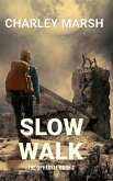 Slow Walk (eBook, ePUB)