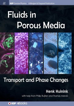 Fluids in Porous Media - Huinink, Henk