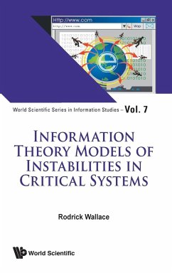 Information Theory Models of Instabilities in Critical Systems