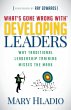 Developing Leaders - Bild 1