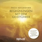 Begegnungen mit dem Geistführer, 1 Audio-CD Begegnungen mit dem Geistführer, 1 Audio-CD
