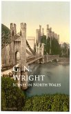 Scenes in North Wales (eBook, ePUB)