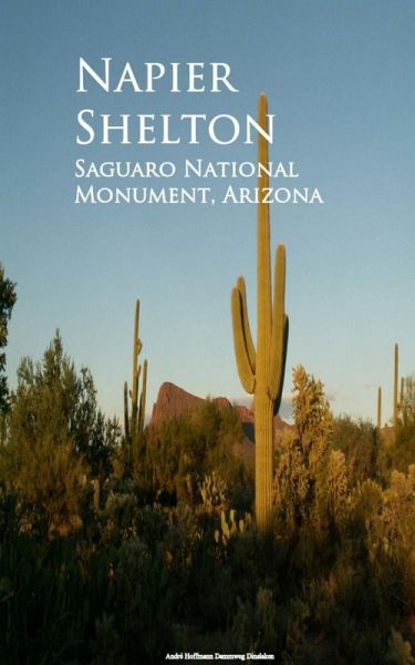 Saguaro National Monument, Arizona (eBook, ePUB)