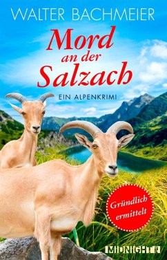 Mord an der Salzach / Tina Gründlich Bd.2 (eBook, ePUB) - Bachmeier, Walter