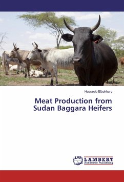 Meat Production from Sudan Baggara Heifers