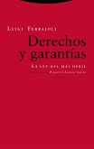 DERECHOS Y GARANTÍAS (8ª EDICIÓN)