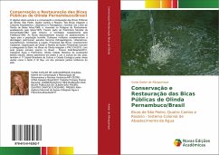 Conservação e Restauração das Bicas Públicas de Olinda Pernambuco/Brasil