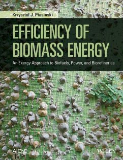 Efficiency of Biomass Energy (eBook, PDF) - Ptasinski, Krzysztof J.