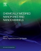 Chemically Modified Nanopores and Nanochannels (eBook, ePUB)