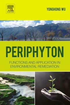 Periphyton (eBook, ePUB) - Wu, Yonghong