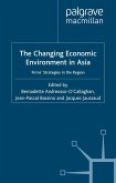 Changing Economic Environment in Asia (eBook, PDF)