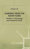 Learning from the Asian Tigers (eBook, PDF)