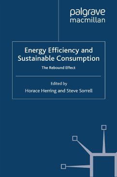 Energy Efficiency and Sustainable Consumption (eBook, PDF)