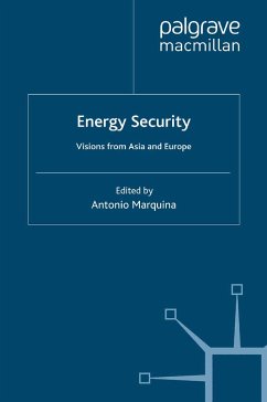 Energy Security (eBook, PDF)